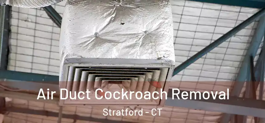 Air Duct Cockroach Removal Stratford - CT
