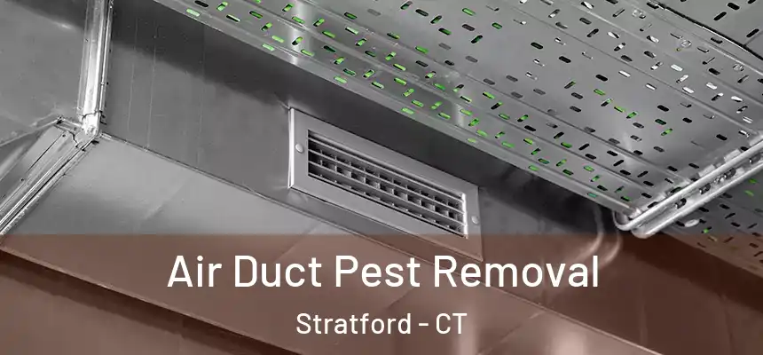  Air Duct Pest Removal Stratford - CT