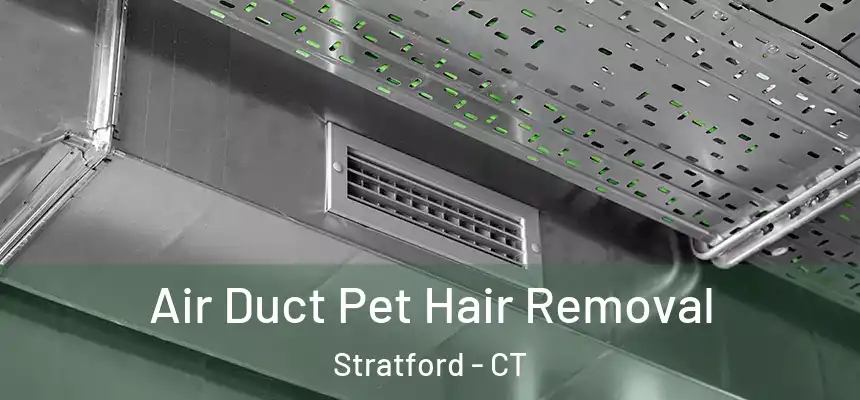  Air Duct Pet Hair Removal Stratford - CT