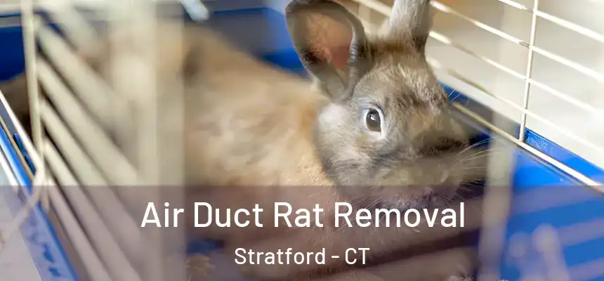  Air Duct Rat Removal Stratford - CT