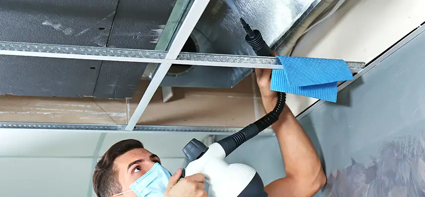 Our Air Duct Rodent Removal Services in Stratford, CT