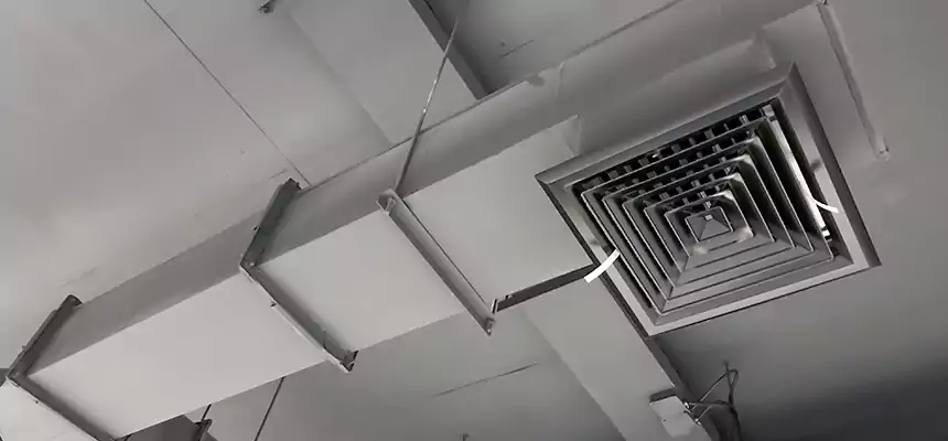 Our Rodent Droppings In Vents Services in Stratford, CT