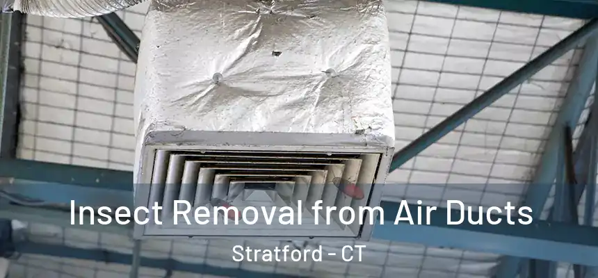  Insect Removal from Air Ducts Stratford - CT