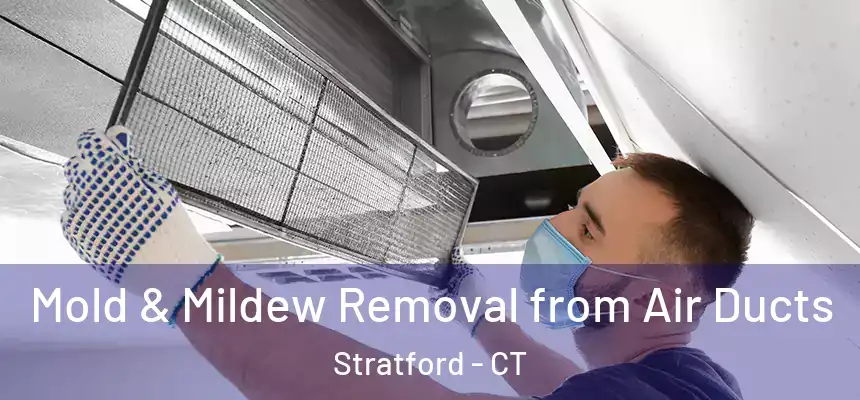  Mold & Mildew Removal from Air Ducts Stratford - CT