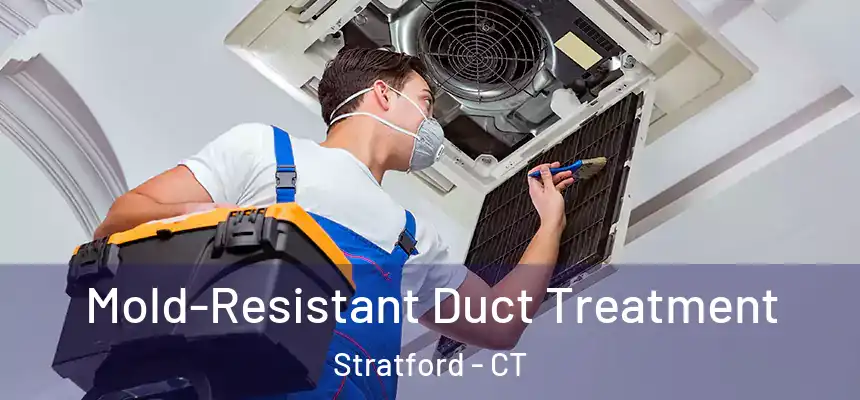  Mold-Resistant Duct Treatment Stratford - CT