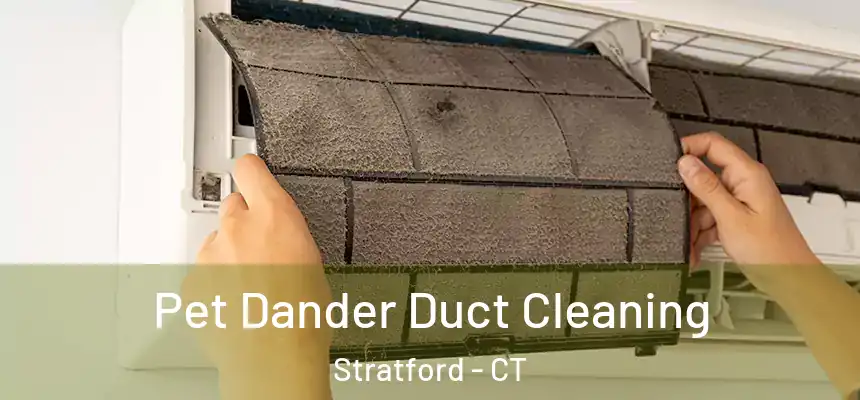  Pet Dander Duct Cleaning Stratford - CT