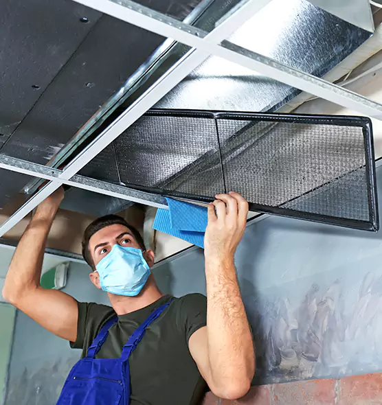 About Air Duct Bacteria Removal in Stratford
