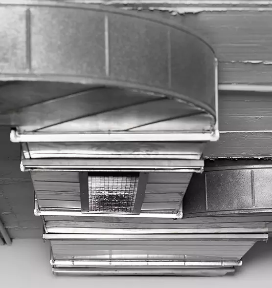 Professional Air Duct Pest Removal in Stratford, CT