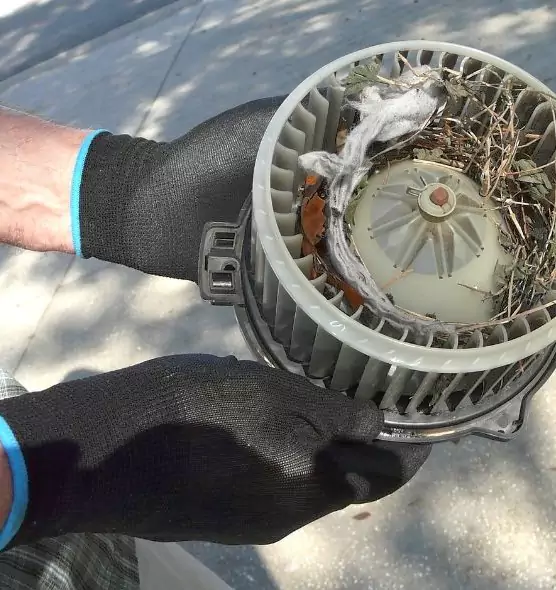 About Air Duct Rat Removal in Stratford, CT