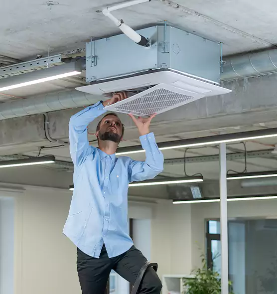 Advanced Rodent Droppings In Vents in Stratford, CT